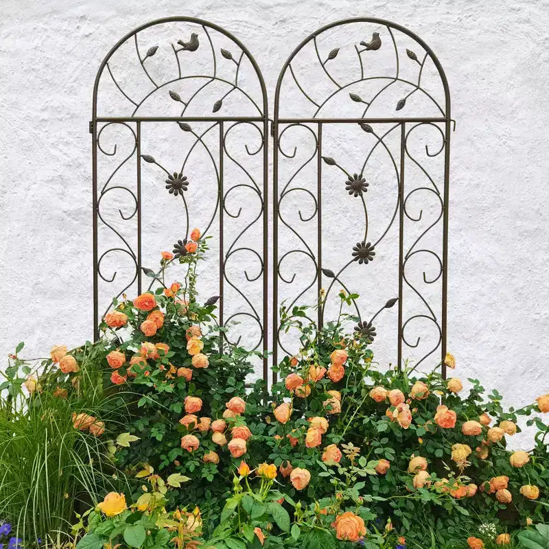 Lot de 2 treillis de jardin en métal de 220 x 50 cm – Antirouille, marron, pour plantes grimpantes et fleurs d'extérieur